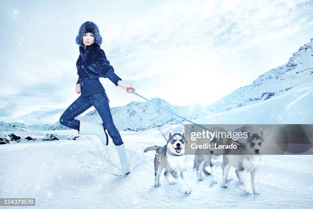 woman holding three young huskies contra las montañas de fondo. - woman boots fotografías e imágenes de stock