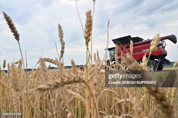 Combine harvests wheat at a field near Kivshovata village, Kyiv region on July 18, 2023. Known as the world's "bread basket", Ukraine grows far more...