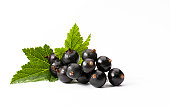 Black Currant Isolated On White Background