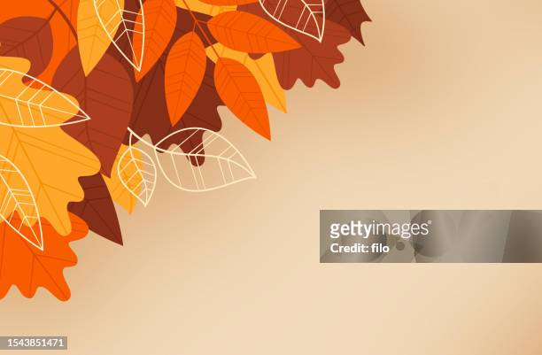 ilustraciones, imágenes clip art, dibujos animados e iconos de stock de fondo de otoño de la caída de la hoja - autumn leaf color