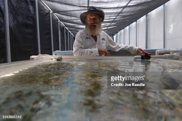 Dr. David Vaughan at the Plant a Million Corals Foundation farm that he founded on July 14, 2023 in Summerland Key, Florida. Mr. Vaughan hopes to...