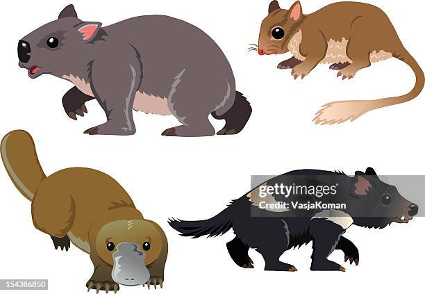 stockillustraties, clipart, cartoons en iconen met cartoons of four native australian animals - opossum