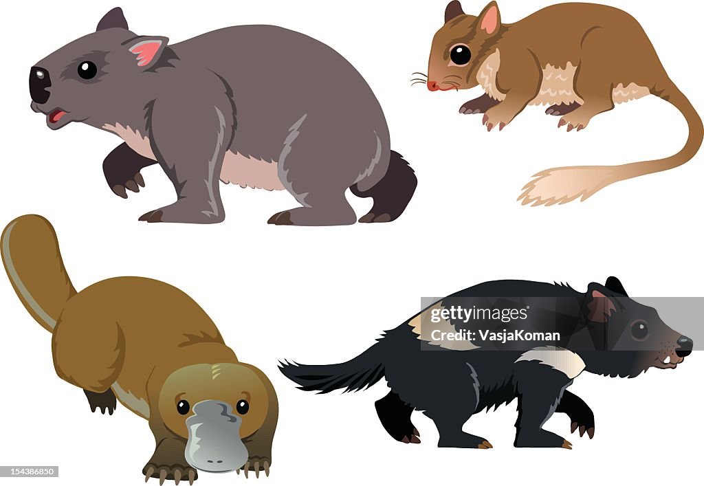 Cartoons Of Four Native Australian Animals High-Res Vector Graphic - Getty  Images