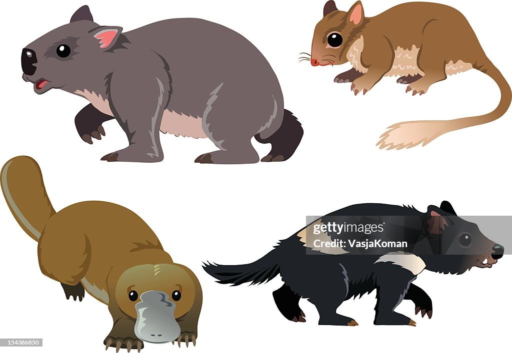 Cartoons Of Four Native Australian Animals High-Res Vector Graphic - Getty Images Cartoons Of Four Native Australian Animals High-Res Vector Graphic - Getty Images