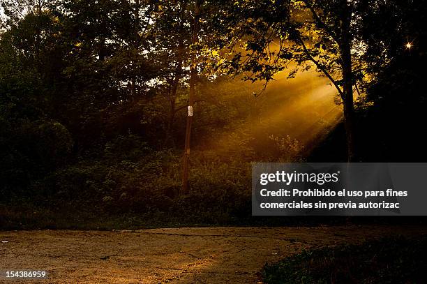 amaneciendo en collsacabra - prohibido ストックフォトと画像