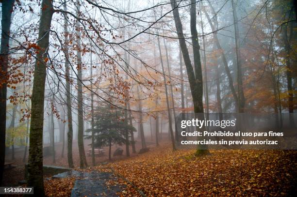 santa fe del montseny - prohibido ストックフォトと画像