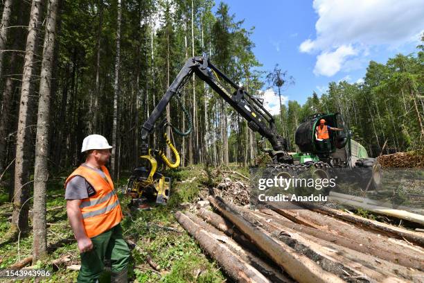 Workers operate harvester at a felling site of Segezha Group timber holding company in Vologda, Russia on July 04, 2023. Segezha Group is a Russian...