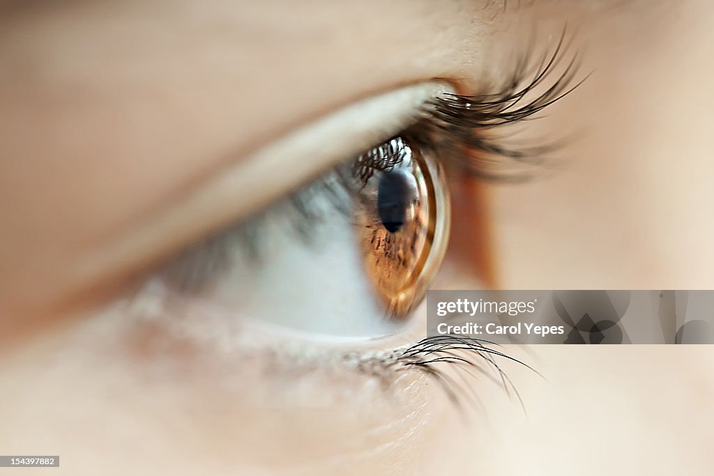 Eyes and lashes