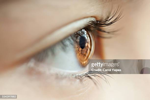 eyes and lashes - close up eye side stock pictures, royalty-free photos & images