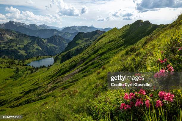 seealpsee and allgäu alps. oberstdorf, bavaria, germany. - nebelhorn bildbanksfoton och bilder