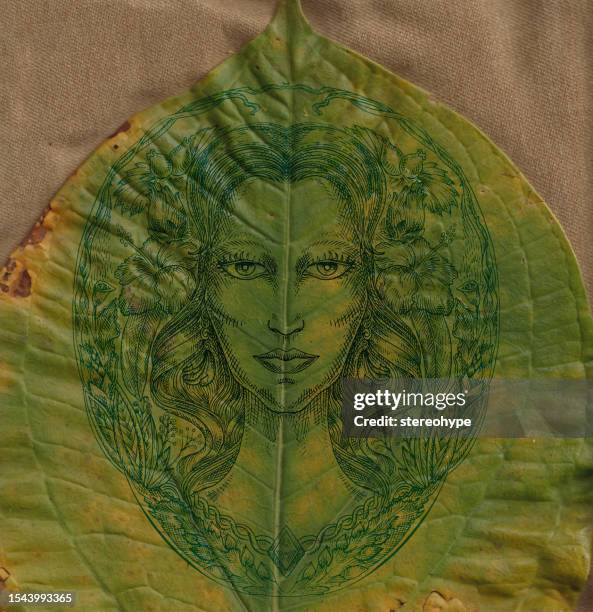 illustrazioni stock, clip art, cartoni animati e icone di tendenza di la dama verde - lili brillanti