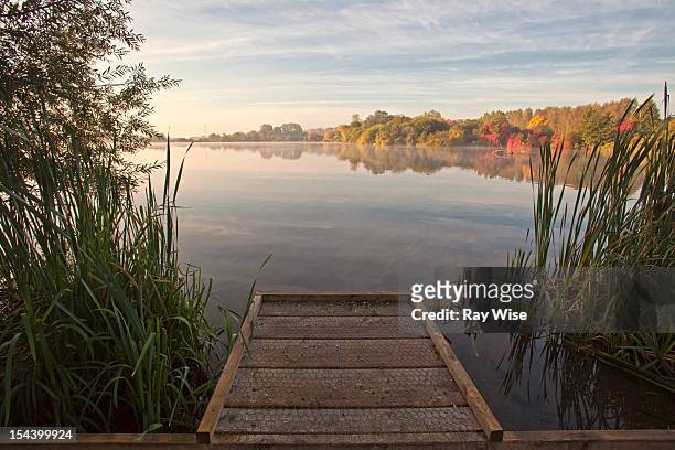 autumnal sunrise across the lake - hertfordshire stock pictures, royalty-free photos & images