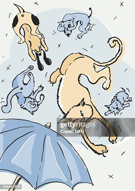 its raining cats and dogs - cat knocking over stock illustrations