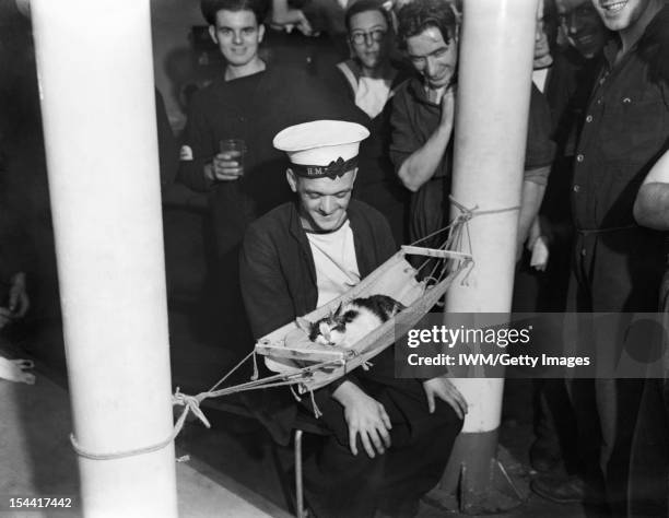 Royal Navy Mascot 'Convoy', HMS Hermione, Gibraltar, 26 November 1941, A group of sailors surround the ship's cat 'Convoy', as he sleeps in a...