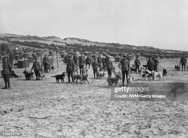 War Dogs During The First World War, Western Front A group of dog handlers stand with their dogs at the British Army kennels near Etaples, 20 April...