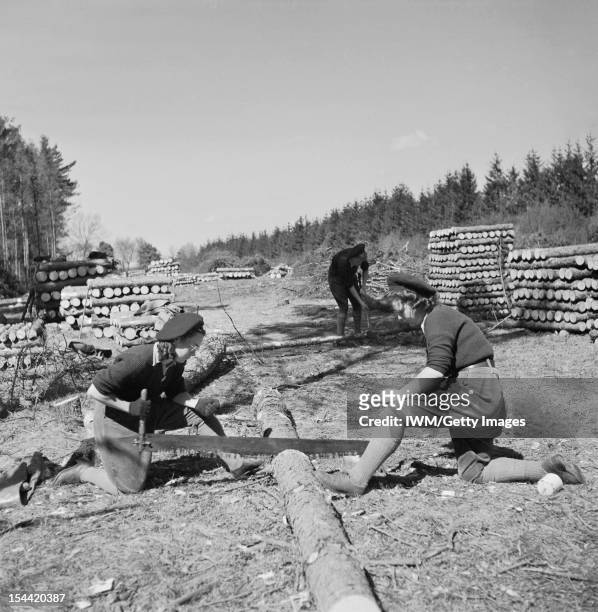 Women On The Home Front 1939 - 1945, The Women's Land Army : Two Land Army girls sawing timber into lengths for pit props at the WLA training centre...
