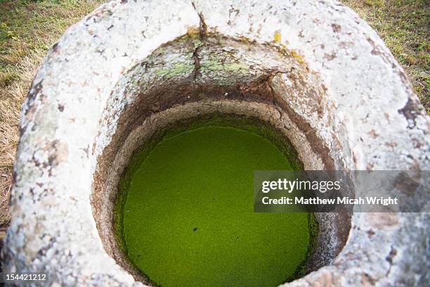 people examening artifacts in the plain of jars. - plain of jars stock pictures, royalty-free photos & images