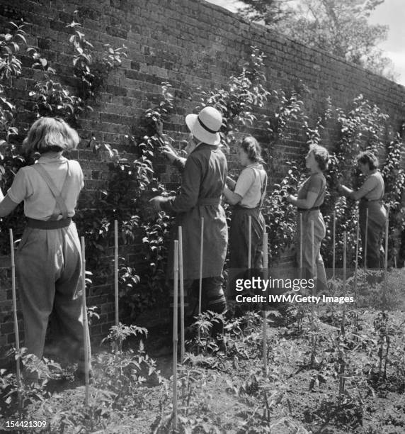 Cecil Beaton Photographs: Women's Horticultural College, Waterperry House, Oxfordshire A horticultural school for women now training students in all...