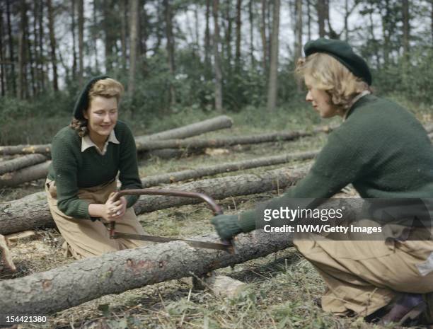 Women's Timber Corps Training Camp At Culford, Suffolk, Land Army girls sawing larch poles for use as pit props, circa 1942.