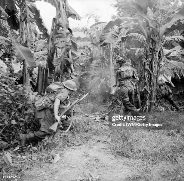 The British Army In Burma 1944, Men of the 36th Infantry Division advance through a banana grove, 6 November 1944.