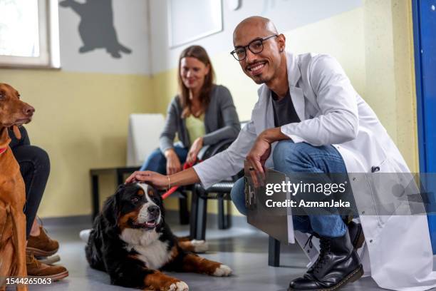 veterinario che accarezza un bovaro bernese in una sala d'attesa - prodotti per animali domestici foto e immagini stock