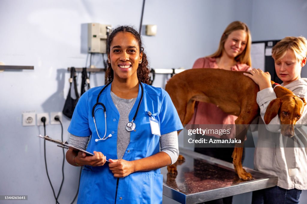 Veterinario femminile ispanico al lavoro