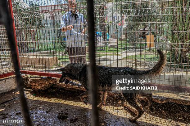 An employee sprays a wolf with water at the zoo in Rafah in the southern Gaza Strip on July 20 amid soaring summer temperatures.