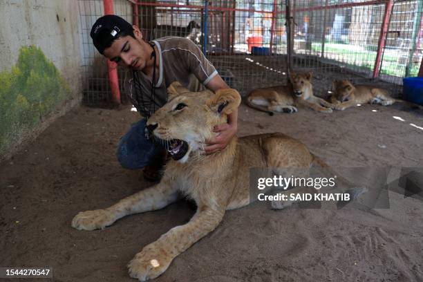 An employee plays with lion cubs at the zoo in Rafah in the southern Gaza Strip on July 20, 2023.