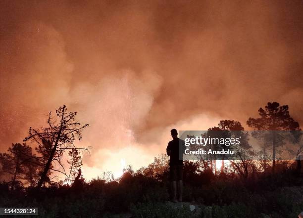 Man stand in front of the wildfire in which 8 hectares of the area are burned in Jendouba, Tunisia on July 19, 2023