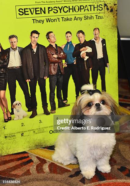 Bonny the ShihTzu attends a screening of CBS Films' "Seven Psychopaths" celebrating the Certified Fresh Rating from RottenTomatoes.com at AMC Century...