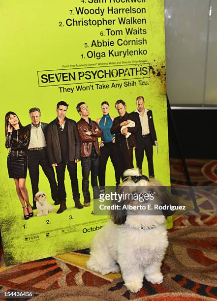 Bonny the ShihTzu attends a screening of CBS Films' "Seven Psychopaths" celebrating the Certified Fresh Rating from RottenTomatoes.com at AMC Century...