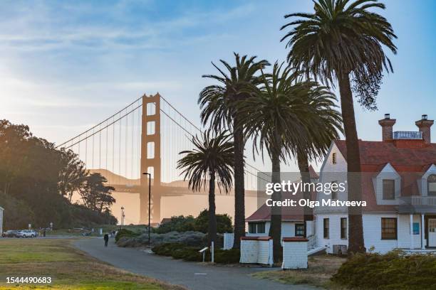 houses palm trees golden gate bridge at sunset on a warm summer evening - san francisco harbor stock pictures, royalty-free photos & images