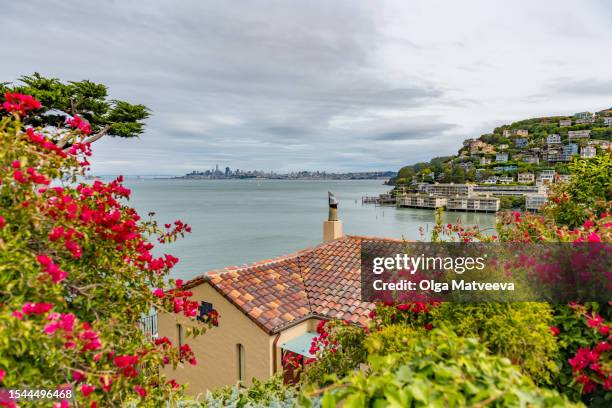 view of san francisco downtown and sausalito roofs on a cloudy june afternoon - sausalito stockfoto's en -beelden