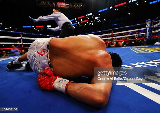 Erik Morales is knocked out by Danny Garcia in the fourth round during their WBC/WBA junior welterweight title at the Barclays Center on October 20,...