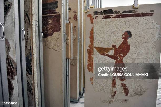 Wall paintings preserved from one of Greece's most famous archaeological sites, the prehistoric town of Akrotiri on the island of Santorini, which...