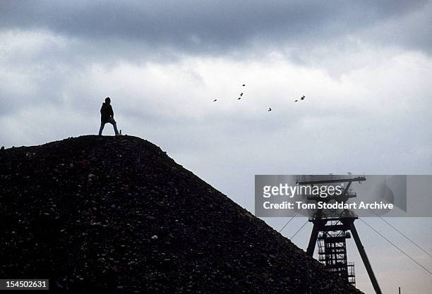 Uranium waste tip at Beerwalde, East Germany, 1991.