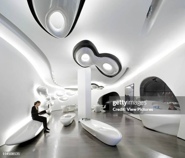 Zaha Hadid Interior Design Plan