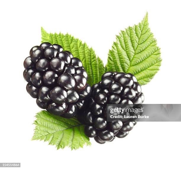 blackberries on leaves - blackberry fruit stock pictures, royalty-free photos & images