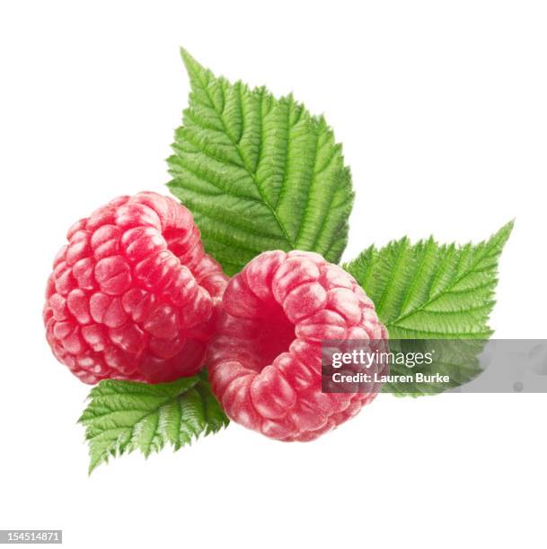 raspberries with leaves - juicy raspberry stock pictures, royalty-free photos & images