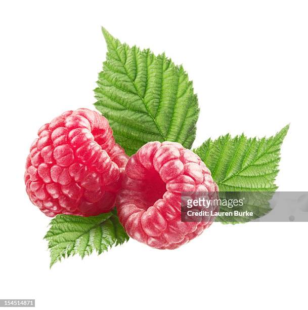 raspberries with leaves - hallon bildbanksfoton och bilder