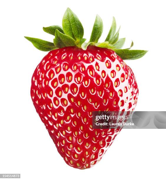 strawberry - fresa fotografías e imágenes de stock