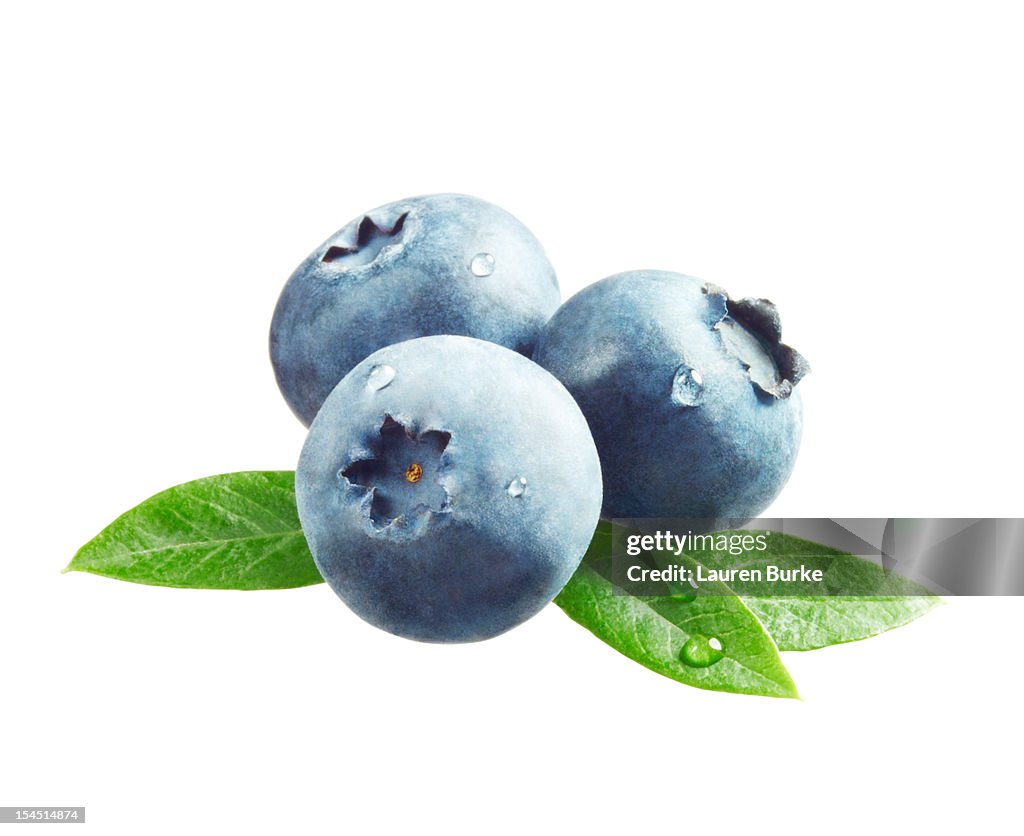 Blueberries with Leaves