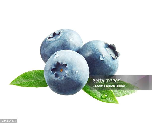 blueberries with leaves - bluberry stock pictures, royalty-free photos & images