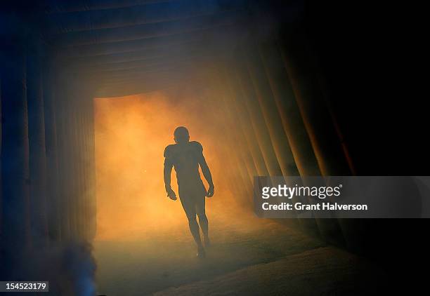 James Anderson of the Carolina Panthers is introduced before a game against the Dallas Cowboys at Bank of America Stadium on October 21, 2012 in...