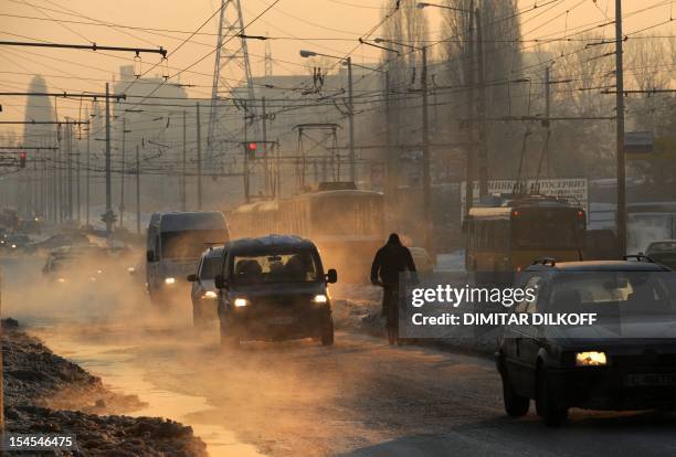 Man rides a bicycle on an icy street in Sofia on January 31, 2012. Record low temperatures were registered around Bulgaria Tuesday, as the mercury...