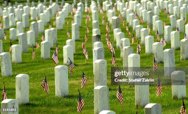 American flags adorn each grave in Arlington National Cemetary in honor of Memorial Day May 27, 2002 in Arlington, VA. Thousands of tourists,...