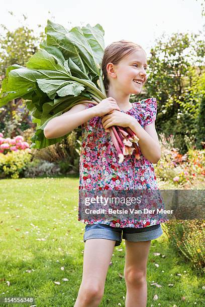 girl holding rubarb stalks in garden. - rabarber stockfoto's en -beelden