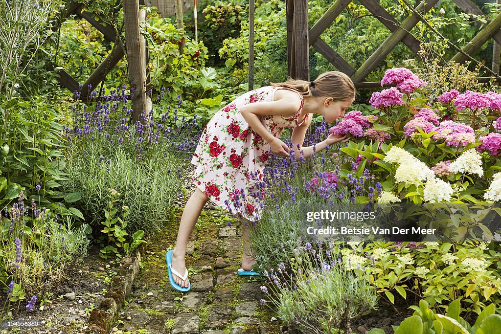 Girl smells hortentia flower in garden