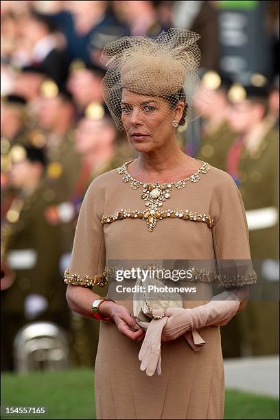 Princess Caroline of Monaco arrives at the Cathedral before the wedding ceremony of Prince Guillaume to Stephanie de Lannoy at the Cathedral of our...