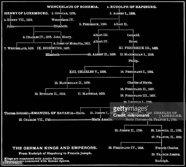 old engraved diagram of the german kings and emperors family tree - from rudolph of hapsburg to francis joseph - rudolph stock pictures, royalty-free photos & images